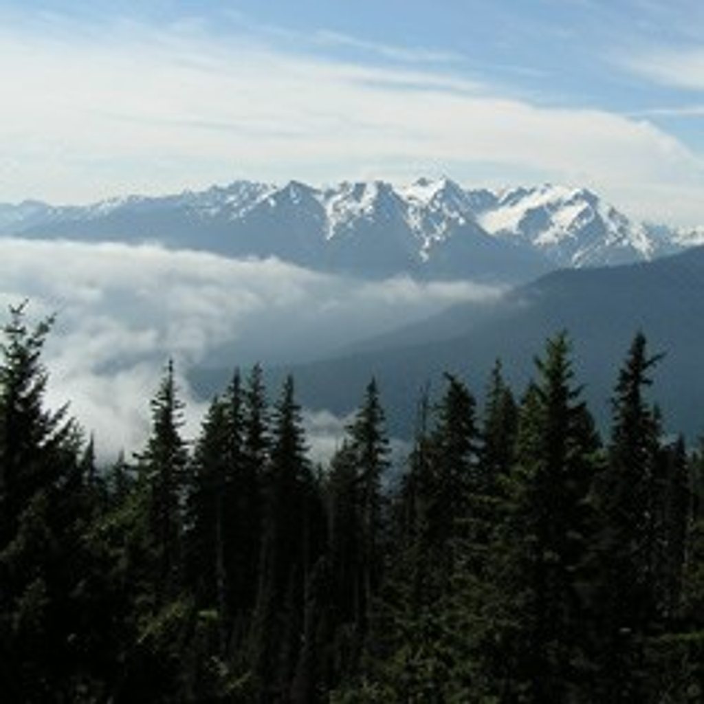 Little River Trail, Olympic National Park
