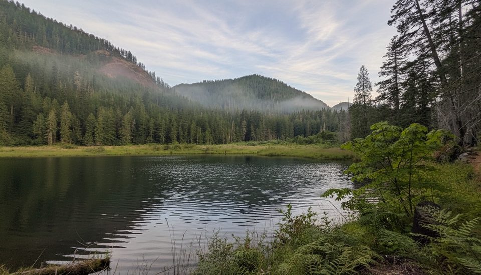 Elk Lake Trail, Olympic National Park