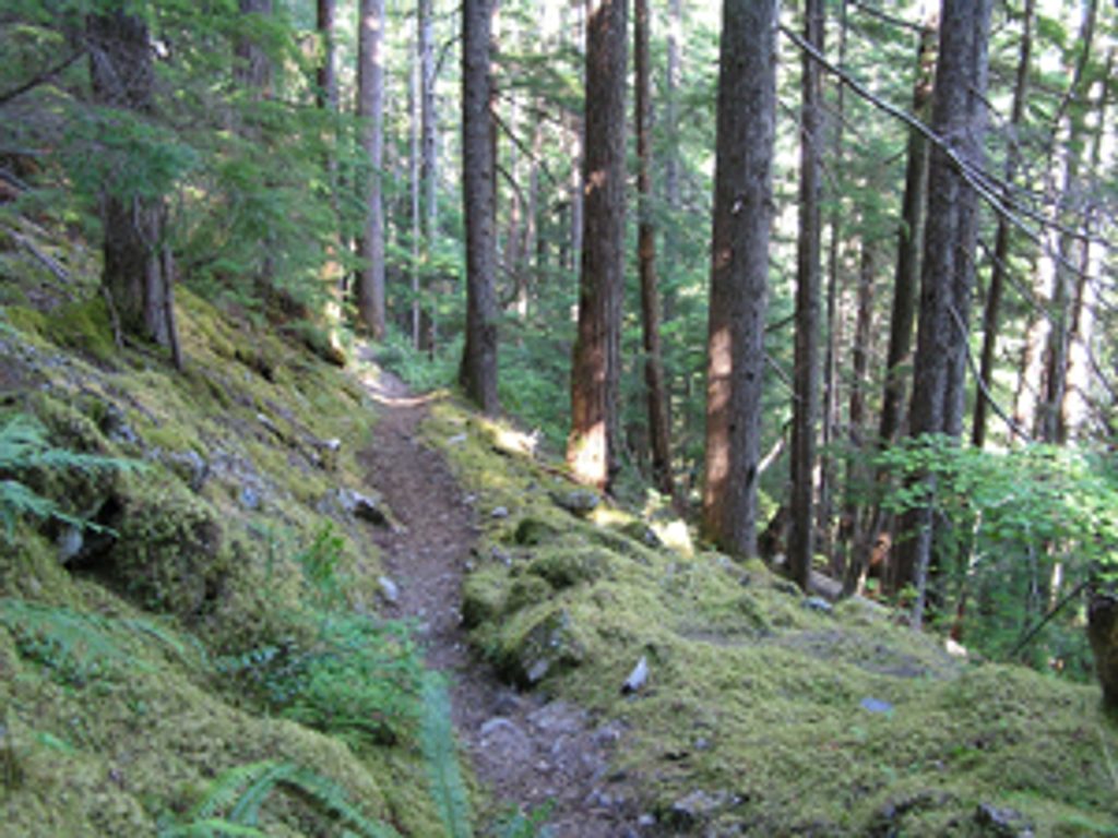 West Fork Dosewallips Trail (Anderson Pass), Olympic National Park