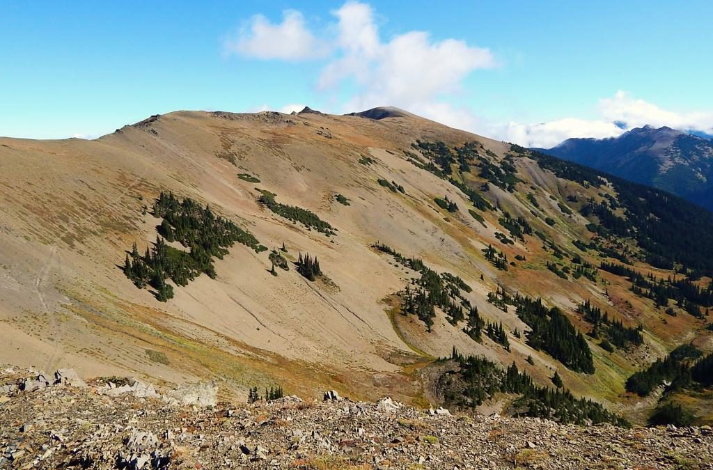 Elk Mountain Trail, Olympic National Park