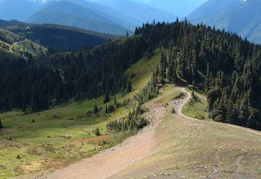 Hurricane Nature Trail, Olympic National Park