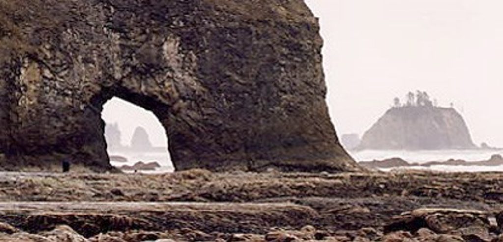 Rialto Beach to Hole-in-the-Wall, Olympic National Park