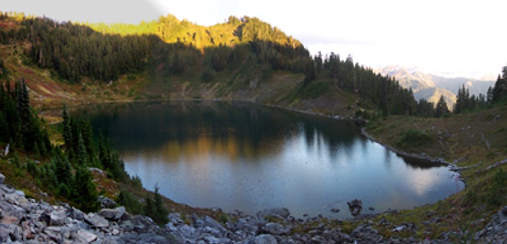 Hoh Lake Trail, Olympic National Park