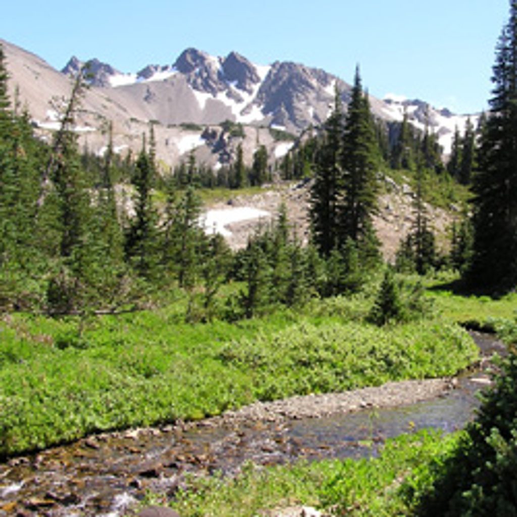 Cameron Creek Trail, Olympic National Park