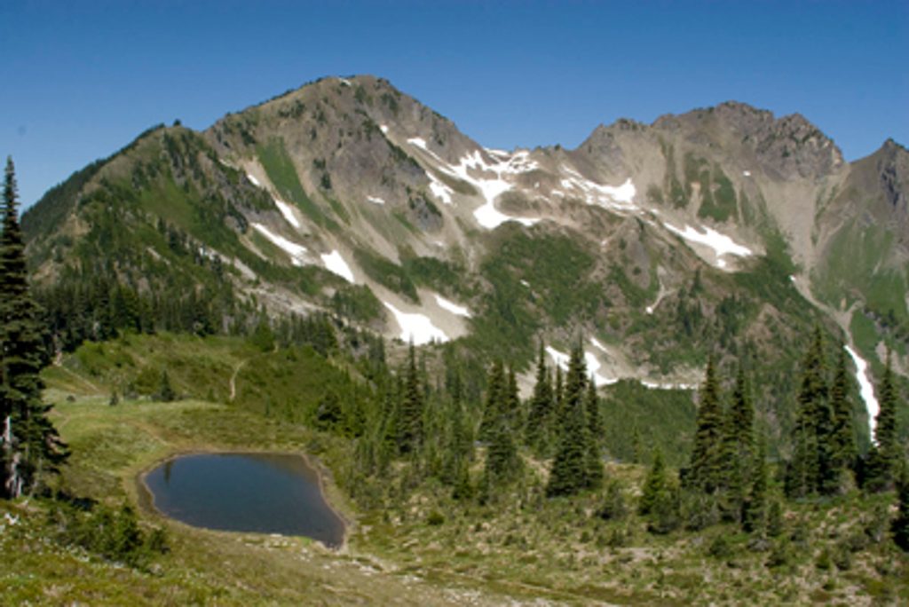 Appleton Pass Trail, Olympic National Park