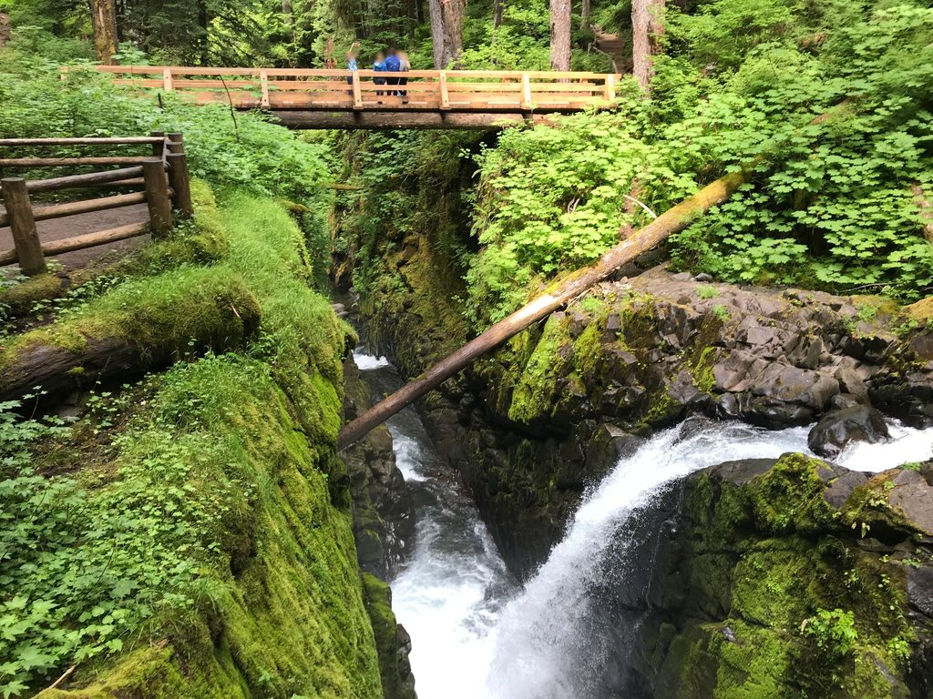 Sol Duc River Trail, Olympic National Park