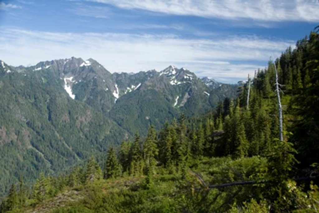 First Divide Trail, Olympic National Park
