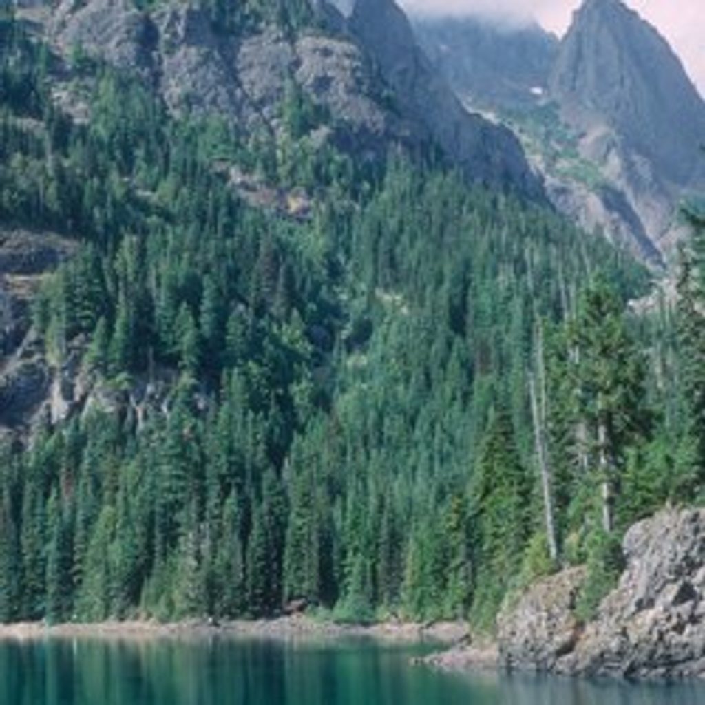 Lake Constance Trail, Olympic National Park