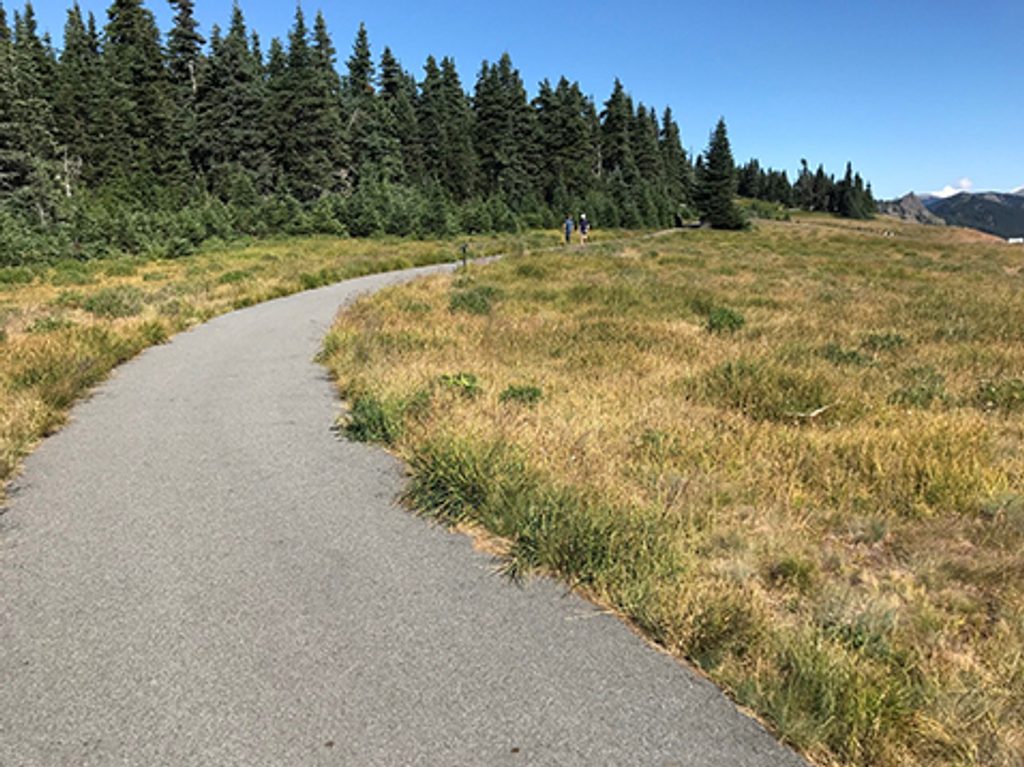 Big Meadow Trail, Olympic National Park