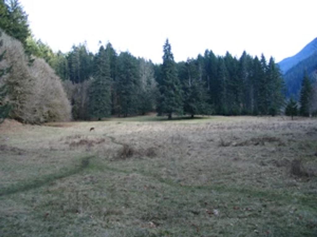 Humes Ranch Loop Trail, Olympic National Park