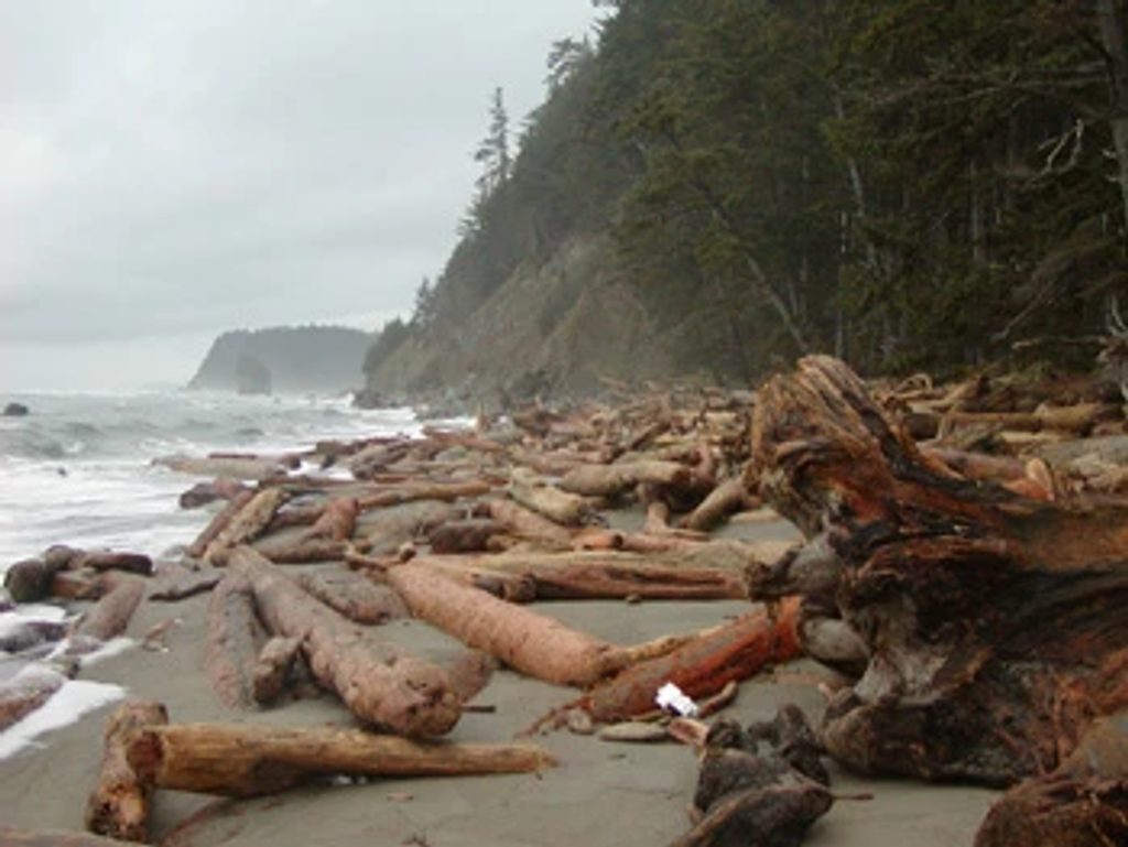 North Coast Wilderness Trail, Olympic National Park