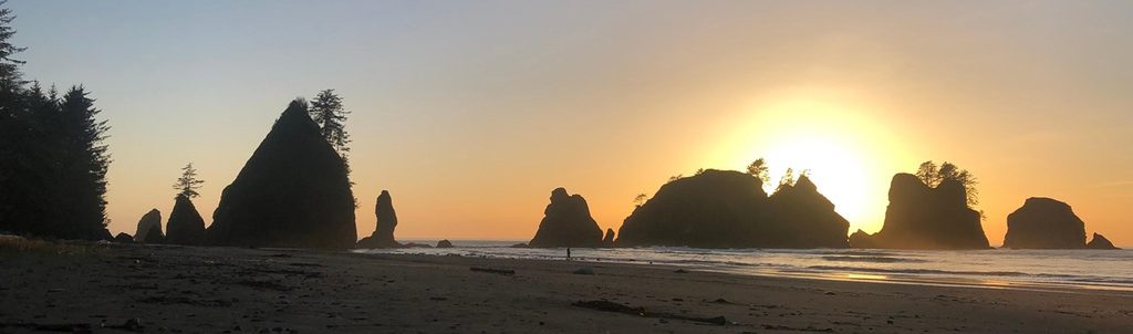 Shi Shi Beach Trail, Olympic National Park