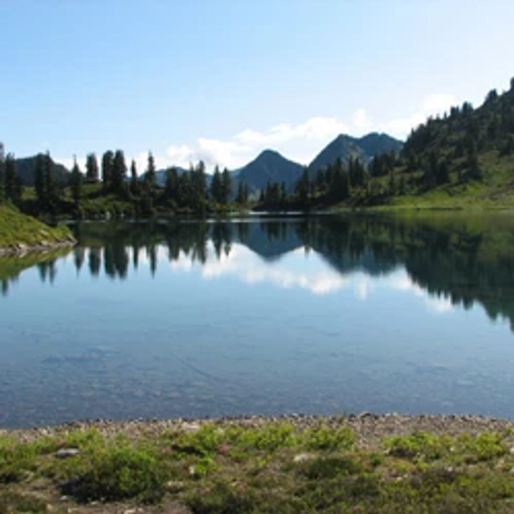 Lunch Lake Trail, Olympic National Park