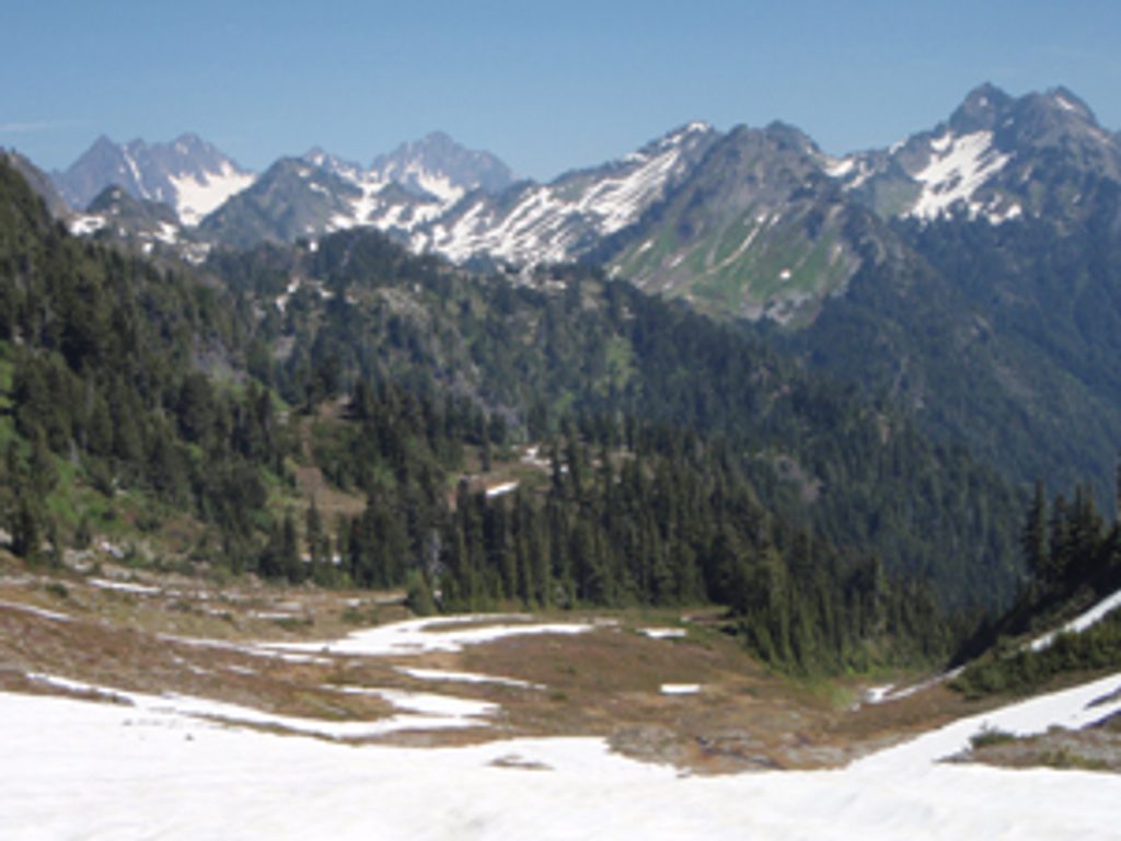 O'Neil Pass Trail, Olympic National Park