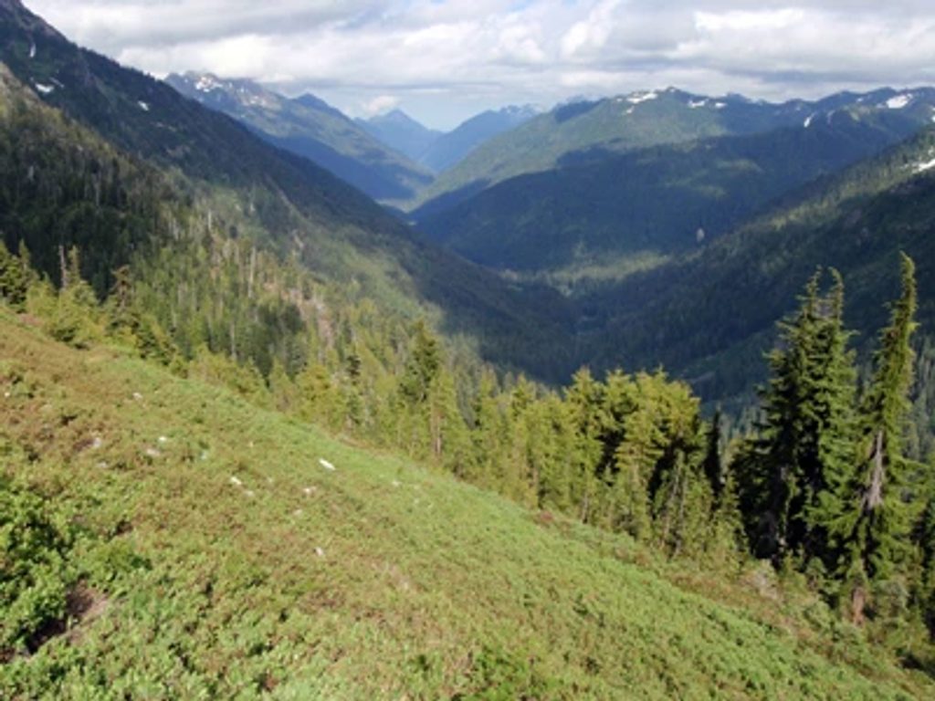 Duckabush River Trail, Olympic National Park