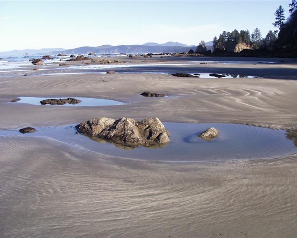 Shi Shi to Ozette River Beach Travelway, Olympic National Park