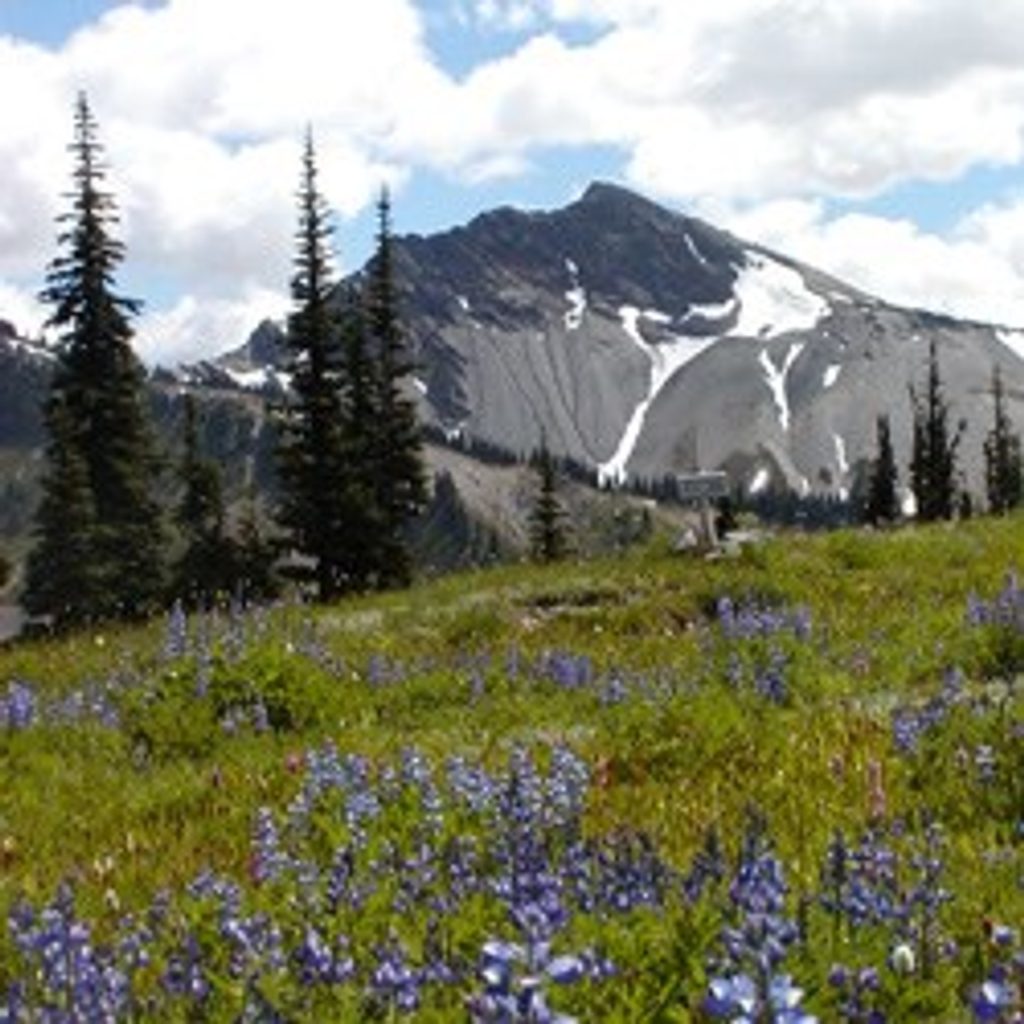 Lost Pass Trail, Olympic National Park