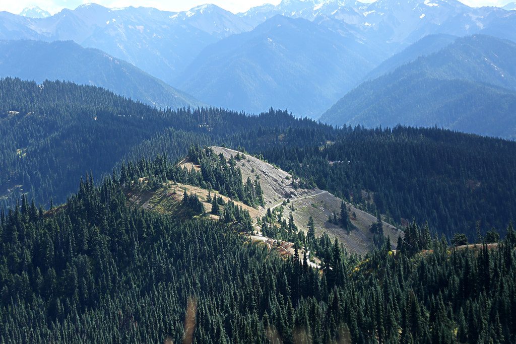 Hurricane Hill, Olympic National Park