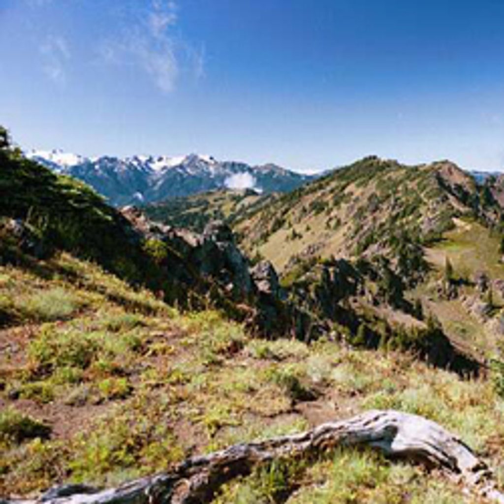 Klahhane Ridge Trail, Olympic National Park
