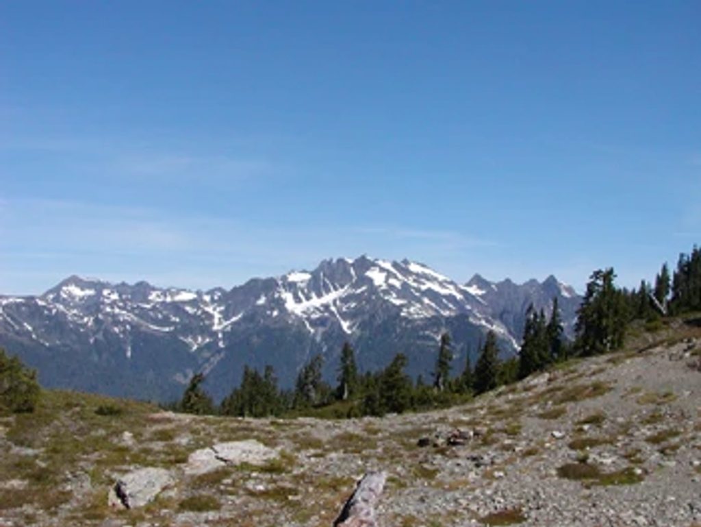 Skyline Trail (Quinault), Olympic National Park