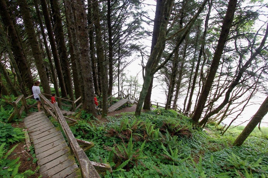 Florencia Bay Trail, Pacific Rim National Park Reserve
