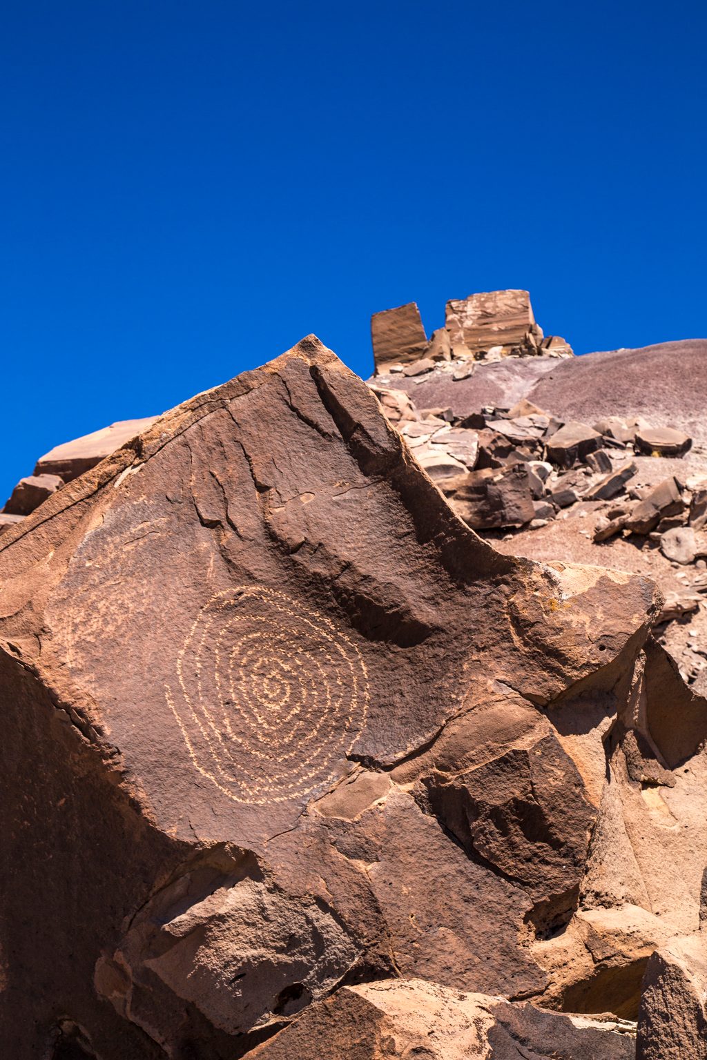 Martha's Butte Route, Petrified Forest National Park