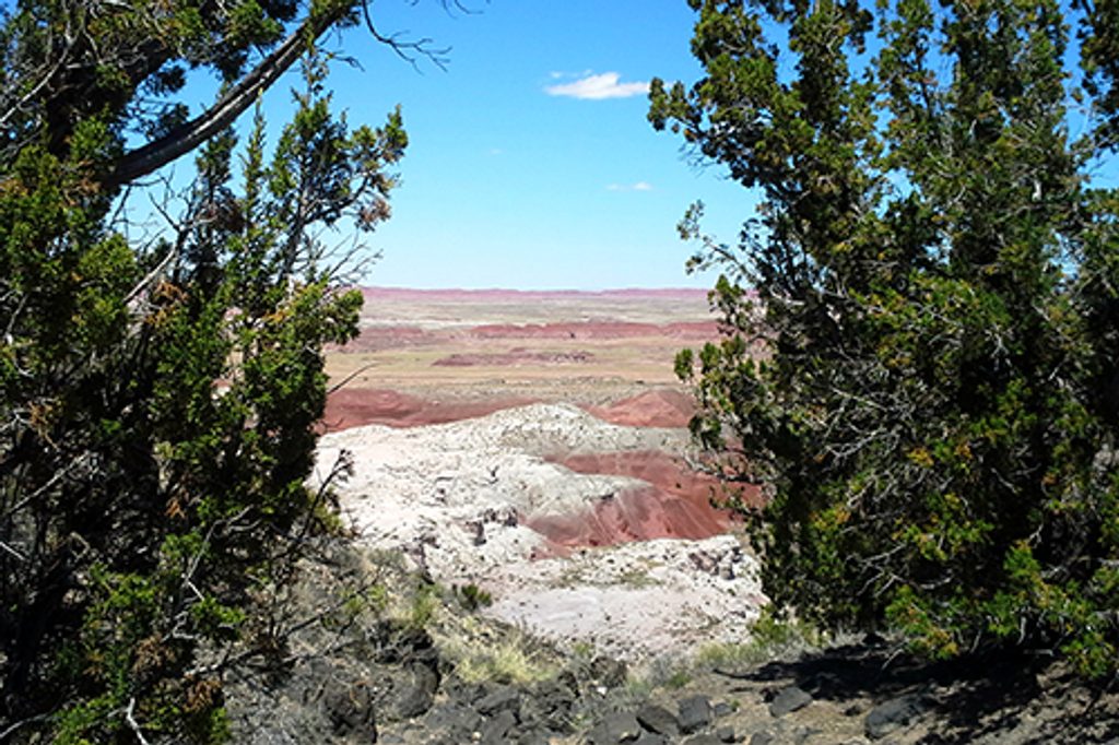 Painted Desert Rim Trail, Petrified Forest National Park