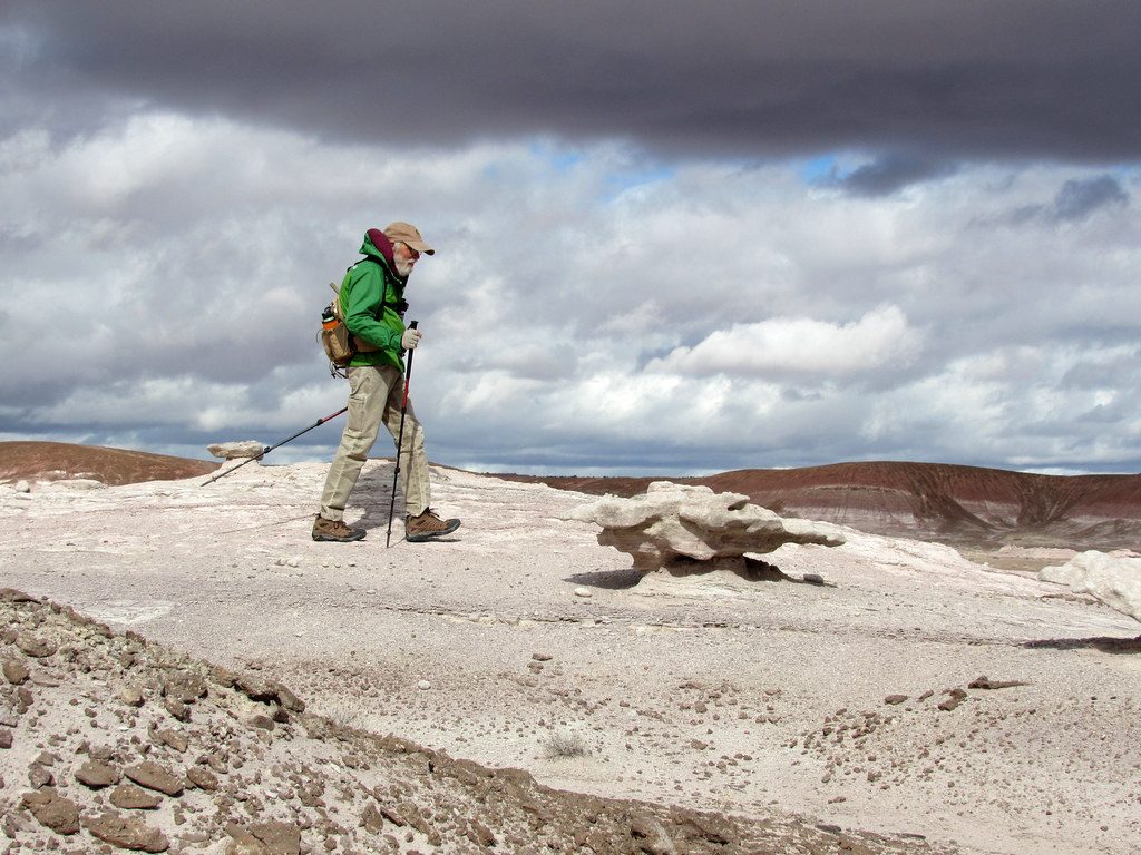 Wilderness Loop, Petrified Forest National Park