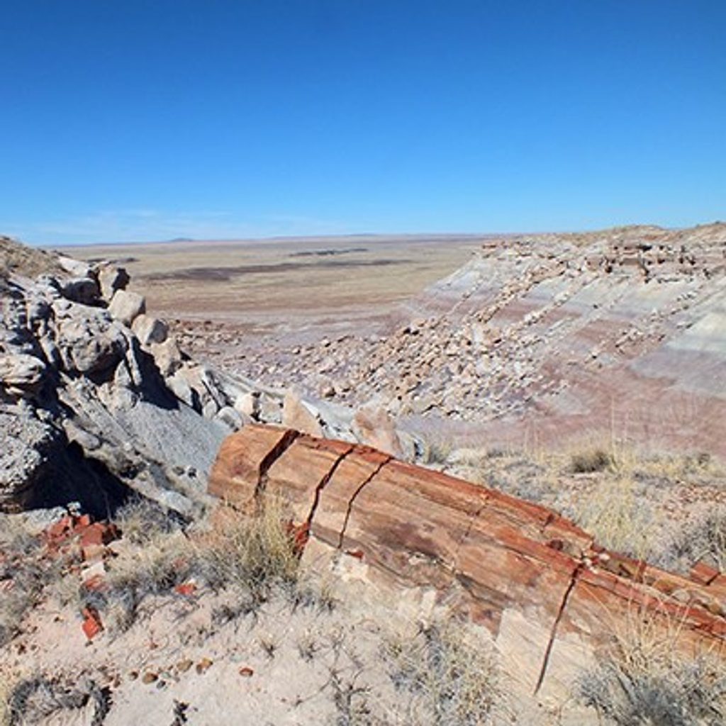 First Forest Point, Petrified Forest National Park