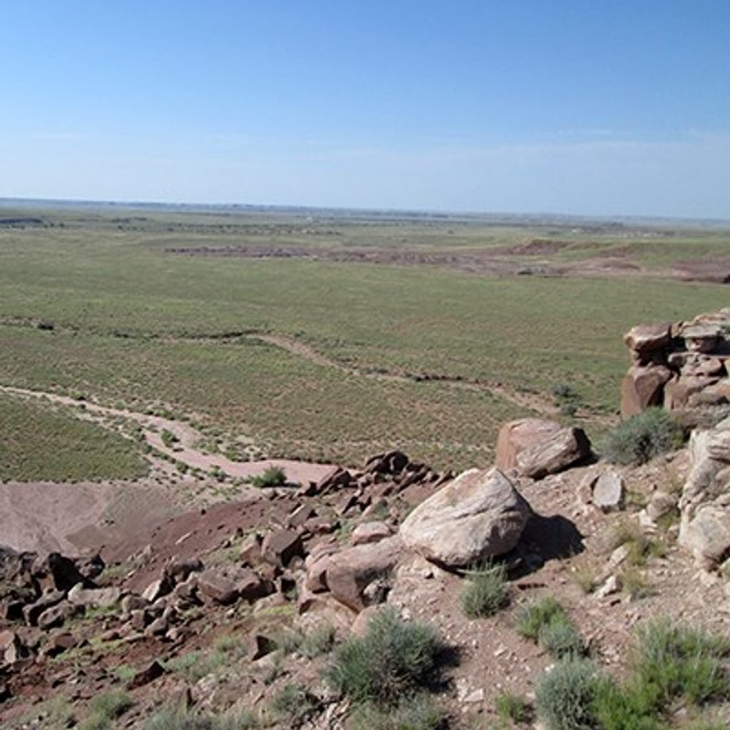 Dead Wash Overlook, Petrified Forest National Park