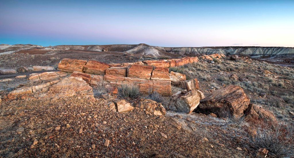 Long Logs Trail, Petrified Forest National Park