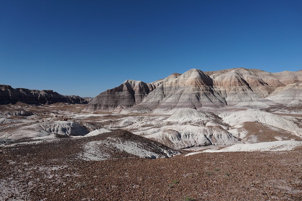 Blue Forest Trail, Petrified Forest National Park