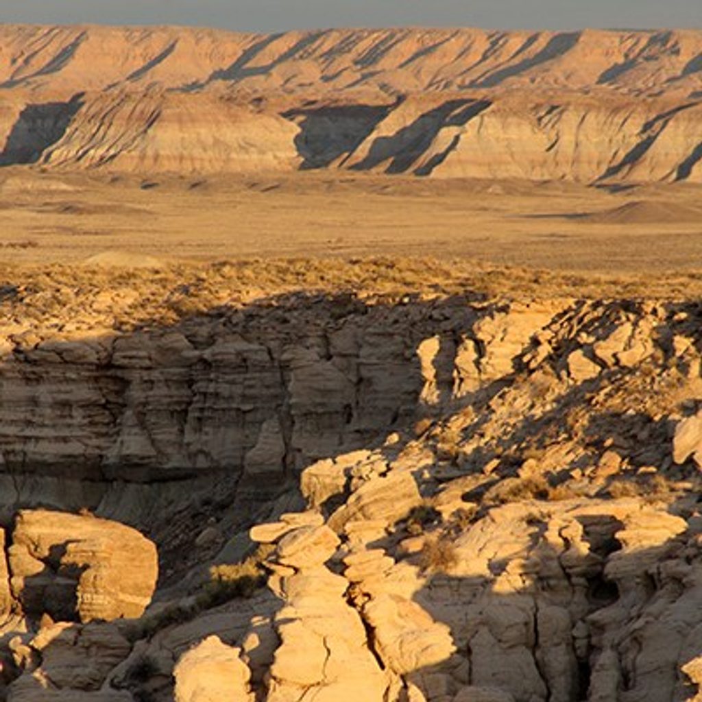 Billings Gap Overlook Route, Petrified Forest National Park