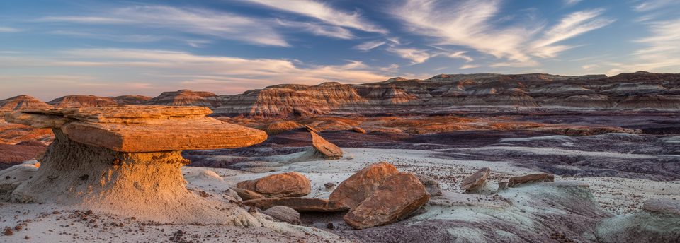 Red Basin/Clam Beds Loop, Petrified Forest National Park