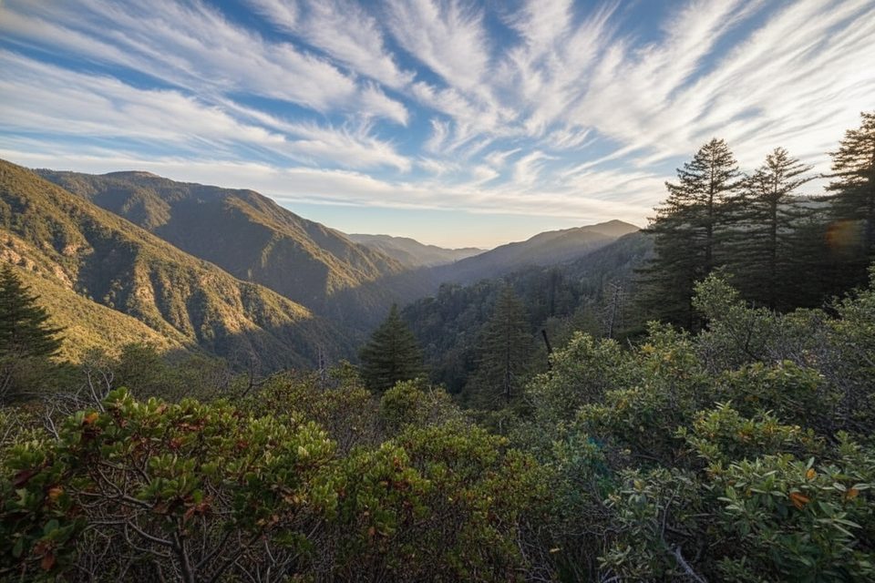 Sykes Hot Springs via Pine Ridge Trail, Pfeiffer Big Sur State Park