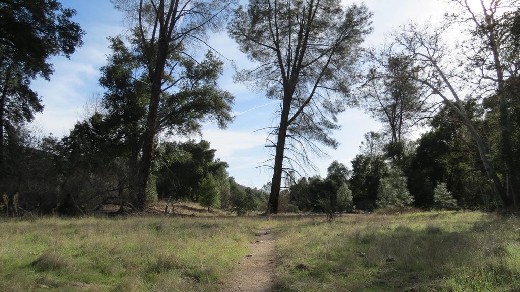 Bench Trail, Pinnacles National Park