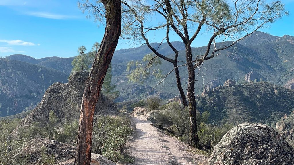 Condor Gulch Trail, Pinnacles National Park