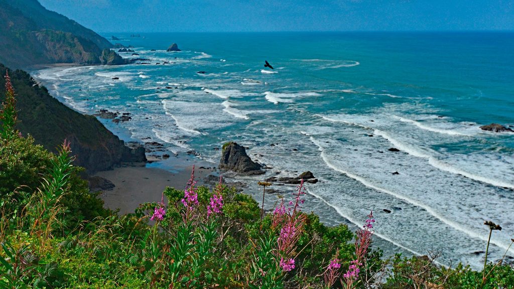 Enderts Beach Trail, Redwood National Park