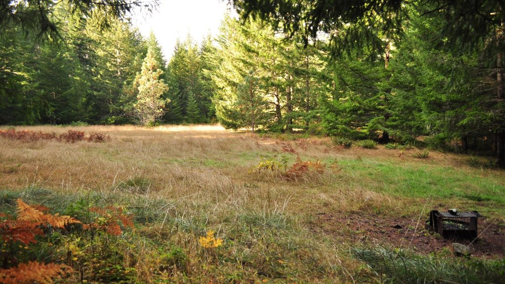 Little Bald Hills Trail, Redwood National Park