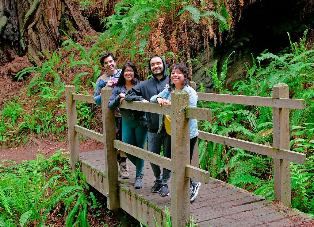 Trillium Falls Trail, Redwood National Park