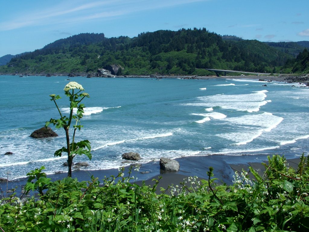 California Coastal Trail Klamath Section, Redwood National Park