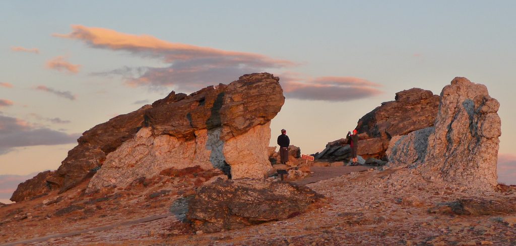 Tundra Communities Trail, Rocky Mountain National Park