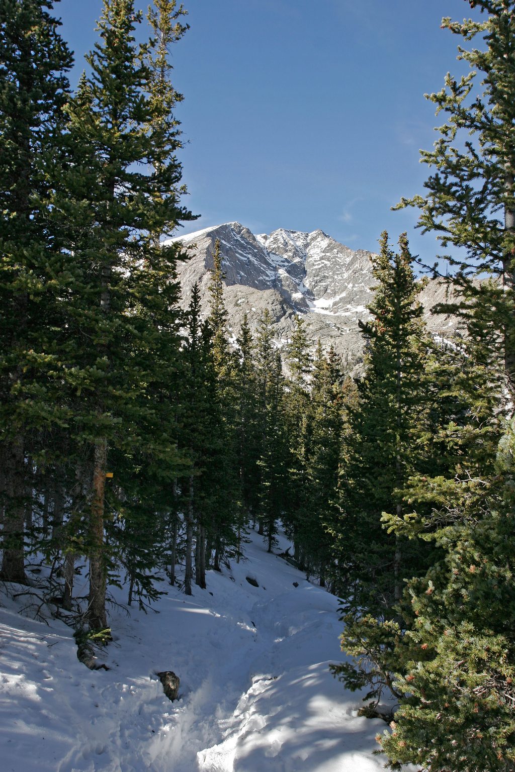 Ypsilon Lake Trail, Rocky Mountain National Park