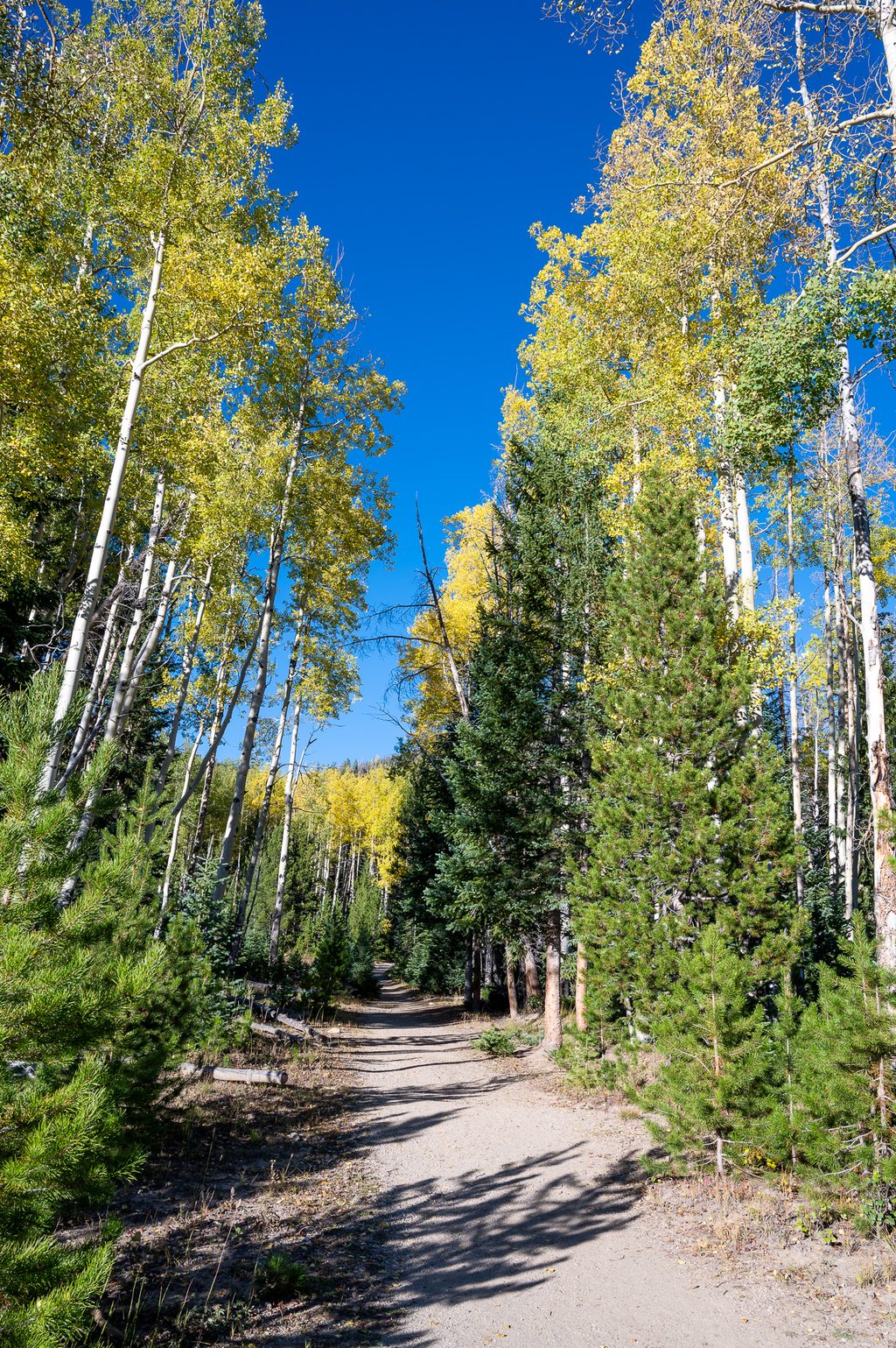 Timber Lake Trail, Rocky Mountain National Park