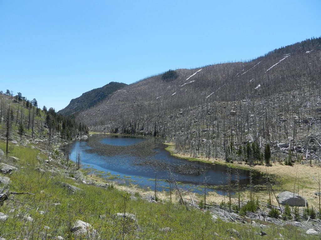 Cub Lake–Fern Lake Loop, Rocky Mountain National Park