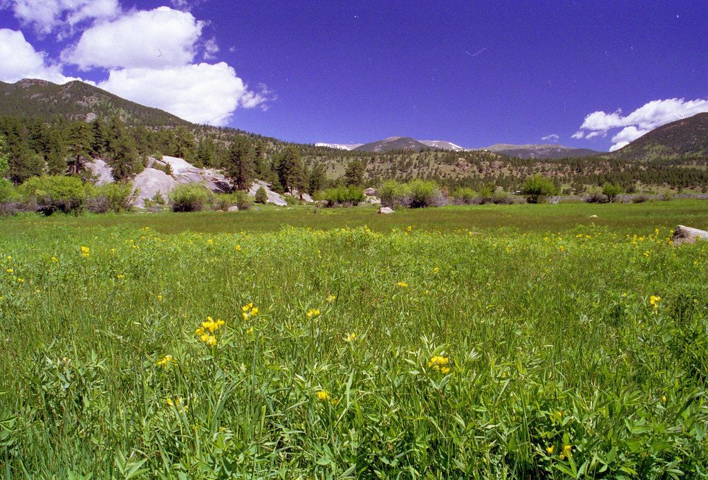 Cub Lake Trail, Rocky Mountain National Park