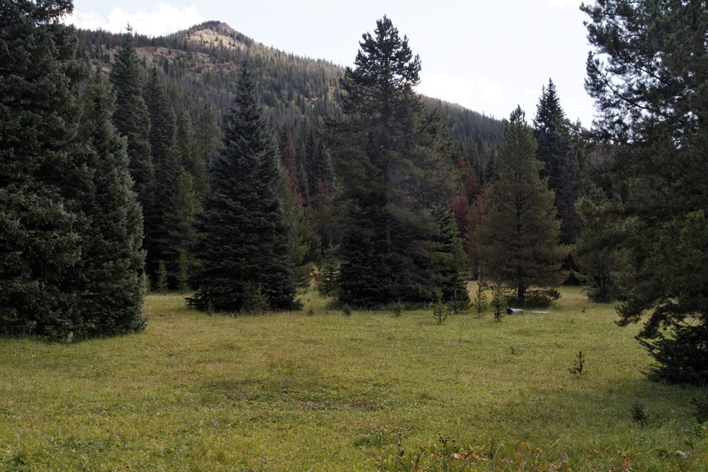 Lulu City via Colorado River Trail, Rocky Mountain National Park