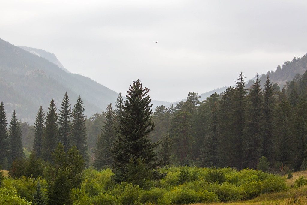 Cow Creek Trail, Rocky Mountain National Park