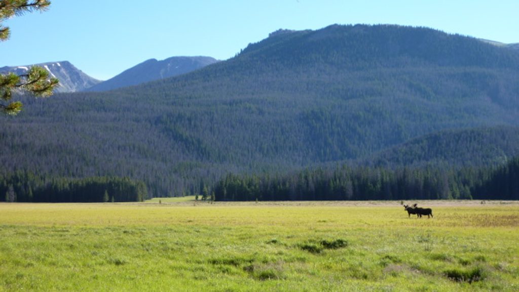 Big Meadows via Green Mountain, Rocky Mountain National Park
