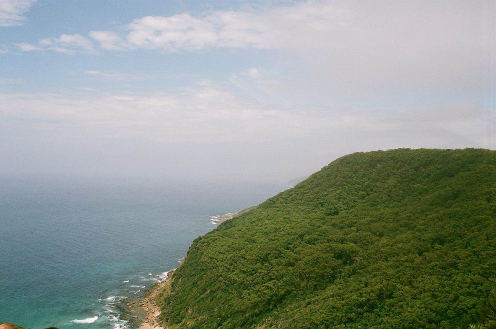 Werrong Beach Track, Royal National Park